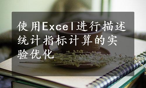 使用Excel进行描述统计指标计算的实验优化