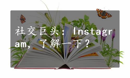 社交巨头：Instagram，了解一下？