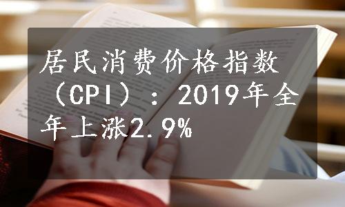 居民消费价格指数（CPI）：2019年全年上涨2.9%