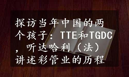 探访当年中国的两个孩子：TTE和TGDC，听达哈利（法）讲述彩管业的历程