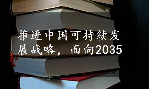 推进中国可持续发展战略，面向2035