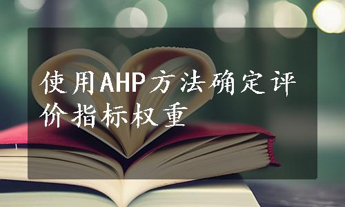 使用AHP方法确定评价指标权重