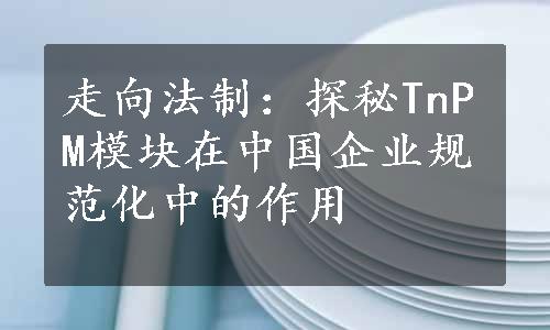 走向法制：探秘TnPM模块在中国企业规范化中的作用