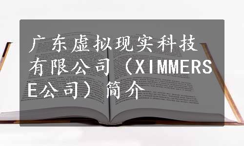 广东虚拟现实科技有限公司（XIMMERSE公司）简介