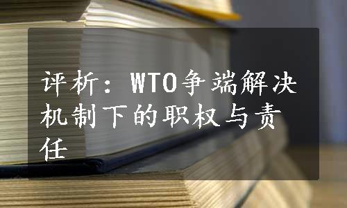 评析：WTO争端解决机制下的职权与责任