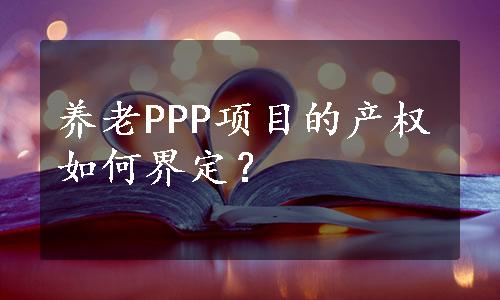 养老PPP项目的产权如何界定？