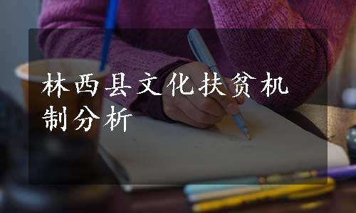 林西县文化扶贫机制分析