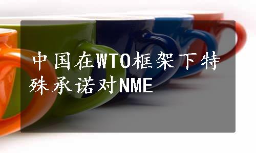 中国在WTO框架下特殊承诺对NME