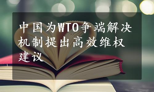 中国为WTO争端解决机制提出高效维权建议