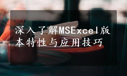 深入了解MSExcel版本特性与应用技巧