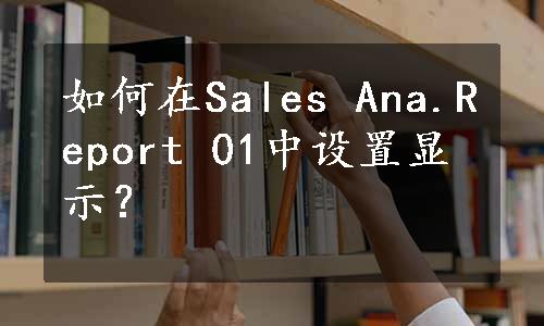 如何在Sales Ana.Report 01中设置显示？