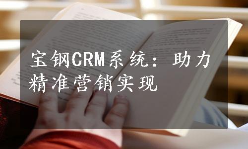 宝钢CRM系统：助力精准营销实现