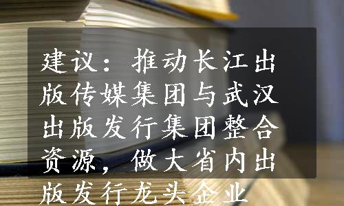 建议：推动长江出版传媒集团与武汉出版发行集团整合资源，做大省内出版发行龙头企业