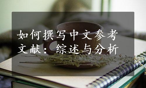 如何撰写中文参考文献：综述与分析