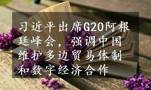 习近平出席G20阿根廷峰会，强调中国维护多边贸易体制和数字经济合作