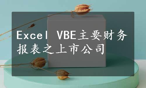 Excel VBE主要财务报表之上市公司