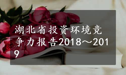 湖北省投资环境竞争力报告2018～2019