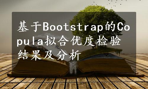 基于Bootstrap的Copula拟合优度检验结果及分析