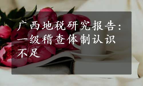 广西地税研究报告:一级稽查体制认识不足