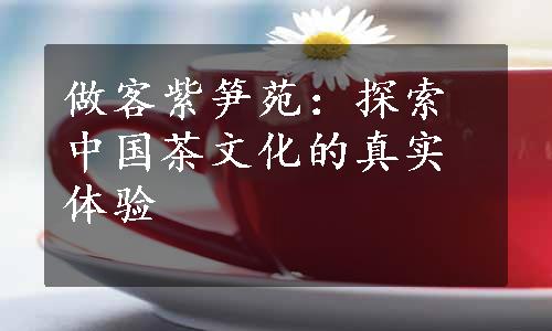 做客紫笋苑：探索中国茶文化的真实体验