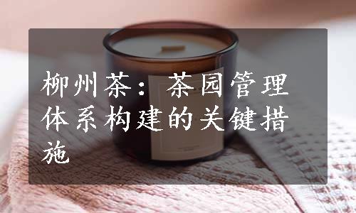 柳州茶：茶园管理体系构建的关键措施