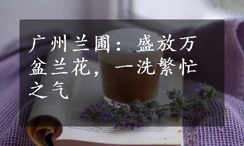 广州兰圃：盛放万盆兰花，一洗繁忙之气