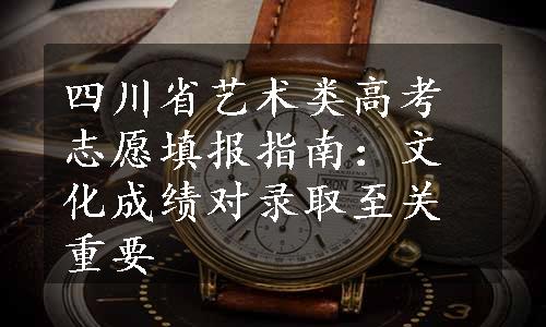 四川省艺术类高考志愿填报指南：文化成绩对录取至关重要