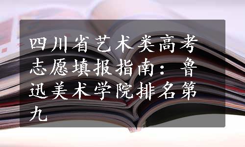 四川省艺术类高考志愿填报指南：鲁迅美术学院排名第九