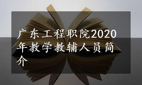 广东工程职院2020年教学教辅人员简介