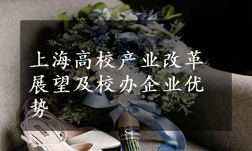 上海高校产业改革展望及校办企业优势