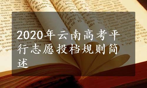 2020年云南高考平行志愿投档规则简述