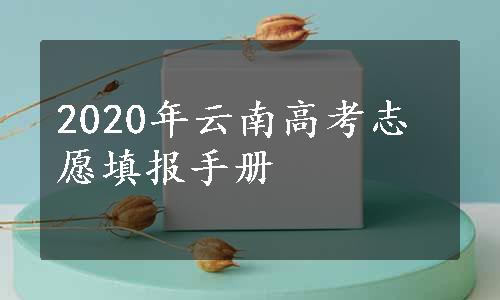 2020年云南高考志愿填报手册