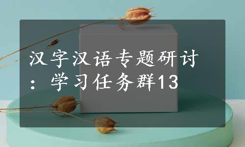汉字汉语专题研讨：学习任务群13