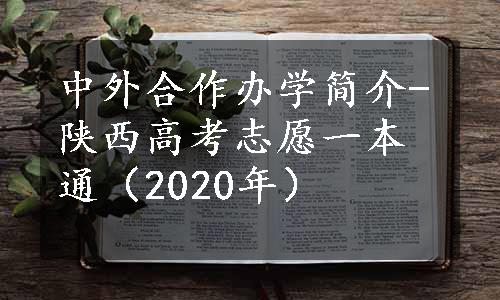 中外合作办学简介-陕西高考志愿一本通（2020年）