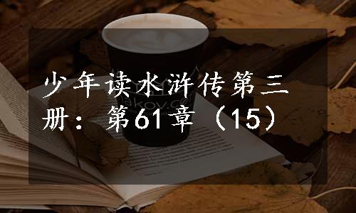 少年读水浒传第三册：第61章（15）