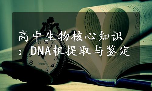 高中生物核心知识：DNA粗提取与鉴定