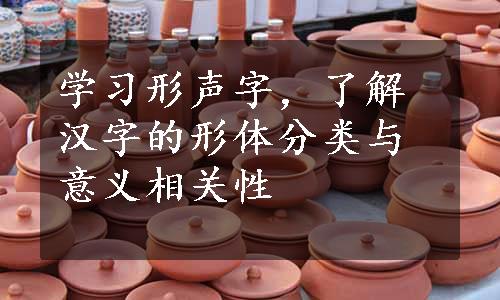 学习形声字，了解汉字的形体分类与意义相关性