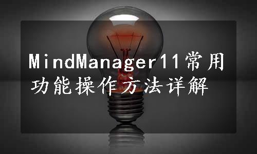 MindManager11常用功能操作方法详解