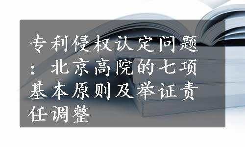 专利侵权认定问题：北京高院的七项基本原则及举证责任调整