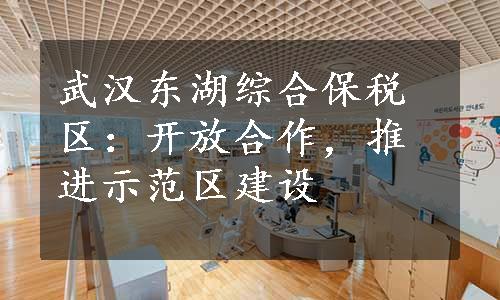 武汉东湖综合保税区：开放合作，推进示范区建设