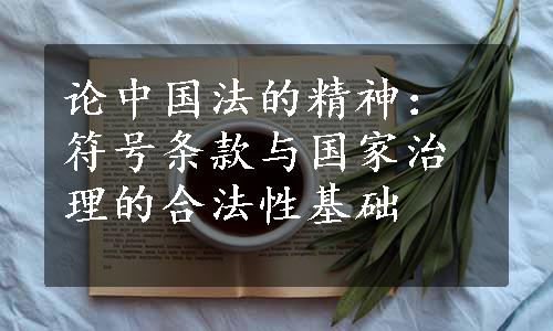 论中国法的精神：符号条款与国家治理的合法性基础