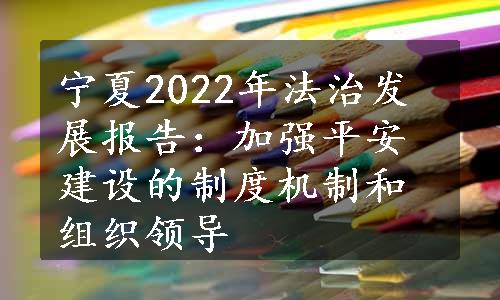 宁夏2022年法治发展报告：加强平安建设的制度机制和组织领导