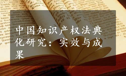 中国知识产权法典化研究：实效与成果