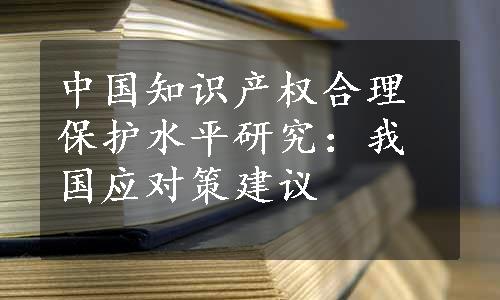 中国知识产权合理保护水平研究：我国应对策建议