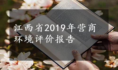 江西省2019年营商环境评价报告