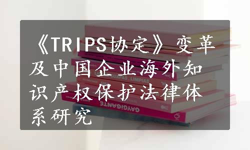 《TRIPS协定》变革及中国企业海外知识产权保护法律体系研究