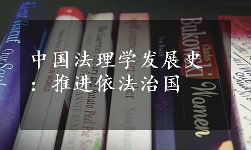 中国法理学发展史：推进依法治国