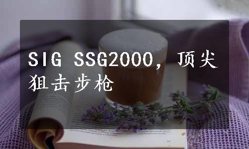 SIG SSG2000，顶尖狙击步枪