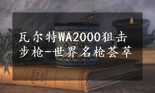 瓦尔特WA2000狙击步枪-世界名枪荟萃