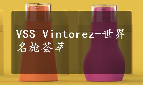 VSS Vintorez-世界名枪荟萃